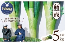 ＜先行予約＞【深谷ねぎの原点】深谷新戒ねぎ　【11218-0238】