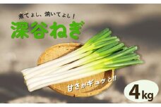煮てよし、焼いてよし！甘さがギュッと！深谷ねぎ　4kg　【11218-0240】