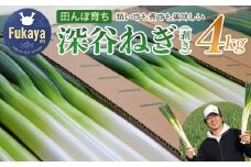 ＜先行予約＞煮てよし、焼いてよし！甘さがギュッと！深谷ねぎ　4kg　【11218-0240】