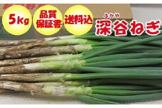 産地直送深谷ねぎ5kg（土付き）　【11218-0242】