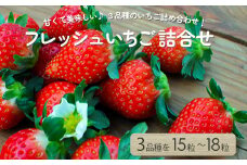 ＜先行受付＞安藤農園 フレッシュいちご詰合せ　【11218-0260】