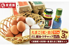【一万円札発行記念】【定期便】愛鶏園　渋沢栄一翁　愛たまご堪能セット＜全3回コース＞　【11218-0299】
