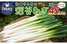 ＜先行予約＞吉田さんちの深谷ネギ　【11218-0388】