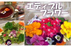 エディブルフラワー　1パック（季節のお花30～40輪）　【11218-0398】