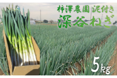 柿澤農園　深谷ねぎ5kg（泥付き）　【11218-0407】