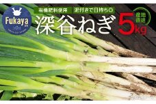 ＜先行予約＞柿澤農園　深谷ねぎ5kg（泥付き）　【11218-0407】