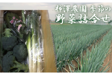 ＜先行受付＞柿澤農園　季節の野菜詰合せ　【11218-0408】