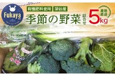 ＜先行受付＞柿澤農園　季節の野菜詰合せ　【11218-0408】