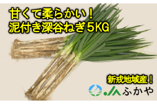JAふかや　農家直送　深谷ねぎ泥付き5kg（保存袋入り）　【11218-0412】
