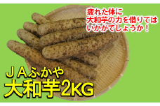 JAふかや　農家直送　深谷大和芋2kg　【11218-0413】