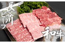 【 武州和牛 】 長谷川ビーフ  （ 埼玉県 深谷市 牛 ）　国産牛肉　焼肉 用 （ カタ・バラ ）400ｇ 和牛【11218-0418】
