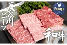 【 武州和牛 】 長谷川ビーフ  （ 埼玉県 深谷市 牛 ）　国産牛肉　焼肉 用 （ カタ・バラ ）400ｇ 和牛【11218-0418】