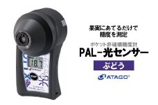 ポケット非破壊糖度計 PAL-光センサー2（ぶどう）　【11218-0444】
