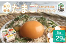 TAMAYAの森　たまご詰合せ【11218-0515】