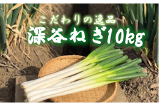 土付き深谷ネギ　10kg　【11218-0538】