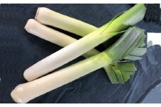 ＜先行受付＞深谷リーキ　3kg　【11218-0537】