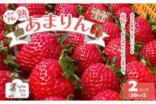 Angelina berrys farm あまりん20粒×2パック入り箱詰めいちご　【11218-0540】