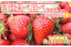 深谷市産いちご　あまりん、やよいひめ食べ比べセット（4パック入り）※2パックずつ　【11218-0661】
