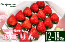 埼玉県産　あまりん　12～18粒　【11218-0689】