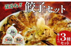 名所　深谷ねぎ餃子セット　【11218-0658】