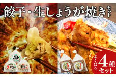 名所　餃子・生しょうが焼セット　【11218-0659】