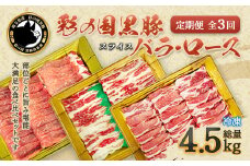 【 定期便・全3回 】彩の国黒豚 たっぷり食べ比べセット　【11218-0793】