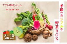季節のカラフルなヤサイBOX（8～10種類）　【11218-0770】