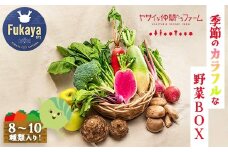 季節のカラフルなヤサイBOX（8～10種類）　【11218-0770】