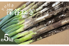 深谷ねぎ　泥付き　約5㎏【11218-0850】