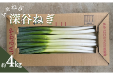 深谷ねぎ　ムキねぎ　約4㎏【11218-0851】