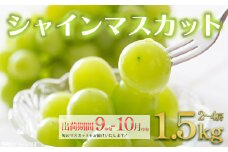 〈先行予約〉シャインマスカット　1.5kg　【11218-0852】