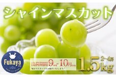 〈先行予約〉シャインマスカット　1.5kg　【11218-0852】