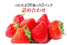 Angelina berrys farm 「べにたま」20粒入り2パック詰合せ　【11218-0878】