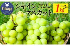 〈先行予約〉シャインマスカット　1kg　【11218-0921】