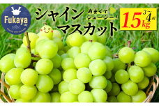 〈先行予約〉【訳アリ】シャインマスカット　1.5kg　【11218-0922】