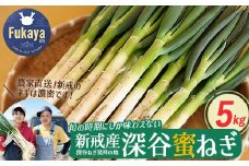 ＜先行予約＞深谷新戒産　深谷ねぎ　5kg　【11218-0381】