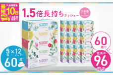 スコッティ ティシュー フラワーボックス 250組 60箱（5箱×12パック）【入金確認後、最短10日～3週間程度で発送】  |  大容量 長持ち コンパクト ティッシュペーパー 日用品 雑貨 大人気 日本製 日用品 ふるさと納税 ティッシュ ティッシュペーパー ふるさと納税 ティッシュ 箱 日用品 必需品 大容量 リピート 高品質 クオリティ かわいい 素敵 保管 消耗品 埼玉県 草加市 