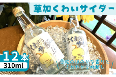くわいサイダー12本（310mL 瓶）セット｜埼玉県 草加市 ご当地サイダー クワイ 慈姑 サイダー ジュース 焼酎割  瓶 夏 夏休み おいしい 炭酸 炭酸飲料 さっぱり 大人も子供も飲める くわい お正月 爽快