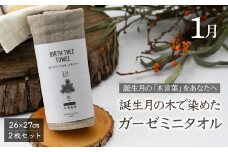 1月「松」の木言葉「不老長寿」  BIRTH TREE TOWEL  | RYOKUSUIEN 緑酔園 草木染め THE NEWOLD WORKS バースツリータオル 松 不老長寿 ガーゼ タオル ハンカチ  ふわふわ 植物 草木染ガーゼ アップサイクル エシカル ヘリンボーン ギフト贈り物 お祝い プレゼント 母の日 父の日 記念日　埼玉県 草加市 草加