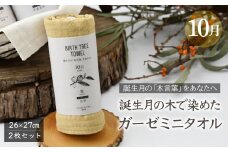 10月「栗」の木言葉 「公平」　 BIRTH TREE TOWEL  | RYOKUSUIEN 緑酔園 草木染め THE NEWOLD WORKS バースツリータオル 栗 くり ガーゼ タオル ハンカチ  ふわふわ 植物 草木染ガーゼ アップサイクル エシカル ヘリンボーン ギフト贈り物 お祝い プレゼント 母の日 父の日 記念日 誕生日 埼玉県 草加市 草加