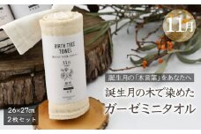 11月「銀杏(イチョウ)」の木言葉 「長寿」　 BIRTH TREE TOWEL  | RYOKUSUIEN 緑酔園 草木染め THE NEWOLD WORKS バースツリータオル 銀杏 イチョウ ガーゼ タオル ハンカチ  ふわふわ 植物 草木染ガーゼ アップサイクル エシカル ヘリンボーン ギフト贈り物 お祝い プレゼント 母の日 父の日 記念日 誕生日 埼玉県 草加市 草加