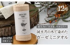 12月「モミ」の木言葉 「向上」　 BIRTH TREE TOWEL  | RYOKUSUIEN 緑酔園 草木染め THE NEWOLD WORKS バースツリータオル モミ ガーゼ タオル ハンカチ  ふわふわ 植物 草木染ガーゼ アップサイクル エシカル ヘリンボーン ギフト贈り物 お祝い プレゼント 母の日 父の日 記念日 誕生日 埼玉県 草加市 草加