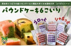 つばさの森 手作りパウンドケーキ6個 | パウンドケーキ 焼き菓子 焼菓子 さつまいも りんご 小松菜 スイーツ 贈答 プレゼント 就労支援 手作り コラボ モンテール 獨協大学 日本薬科大学 共同開発 つばさの森 埼玉県 草加市