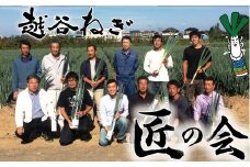No.029 越谷ねぎ（白ねぎ5kg）