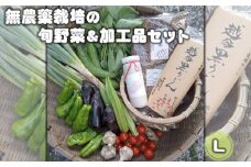 No.056 無農薬栽培の旬野菜＆加工品セット　L