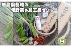 No.053 無農薬栽培の旬野菜＆加工品セット　M