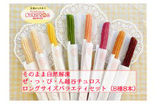 No.099 そのまま自然解凍　越谷チュロスロングバラエティセット8種8本 ／ スイーツ 手作り スペイン仕込み 埼玉県