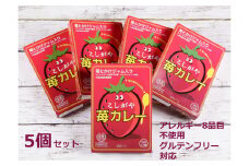 No.102 こしがや苺カレー　5個セット ／ ご当地カレー オリジナルカレー グルテンフリー 米粉使用 埼玉県 特産品
