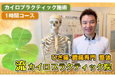 No.122 カイロプラクティック施術1時間コース ／ 骨格矯正 頸椎矯正 腰痛 頭痛 ひざ痛 整体 マッサージ カイロプラクティック 水素吸引 水素吸入 姿勢改善 磁界