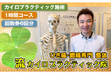 No.123 カイロプラクティック施術1時間コース回数券6回分 ／ 関節 身体 筋肉 治療 埼玉県